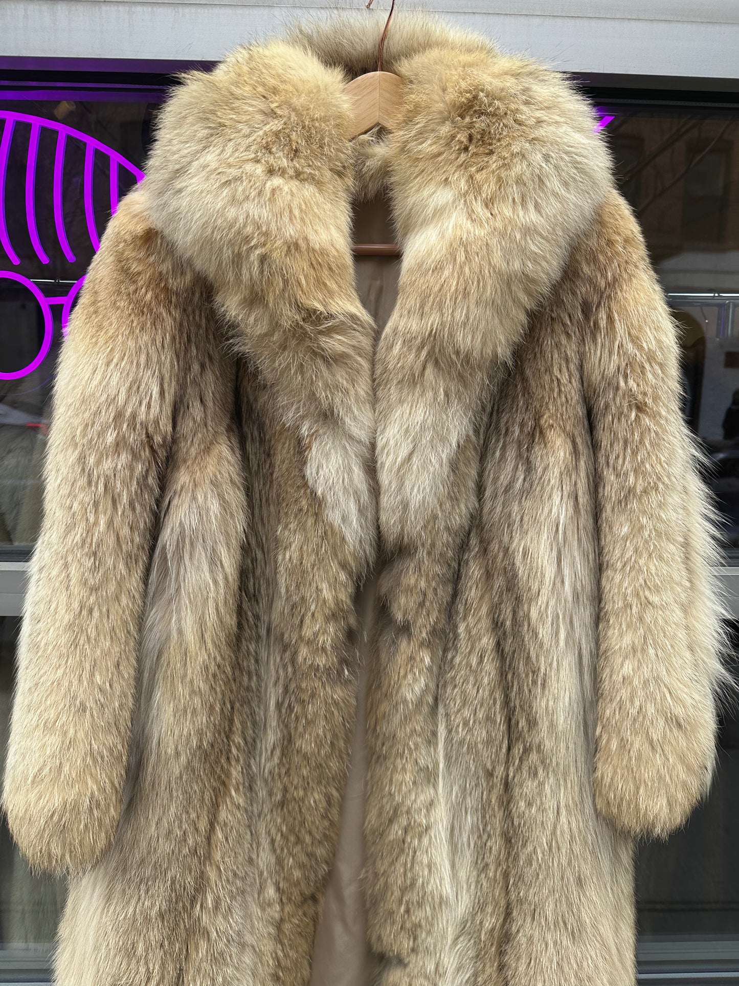 Coyote full length fur full length
