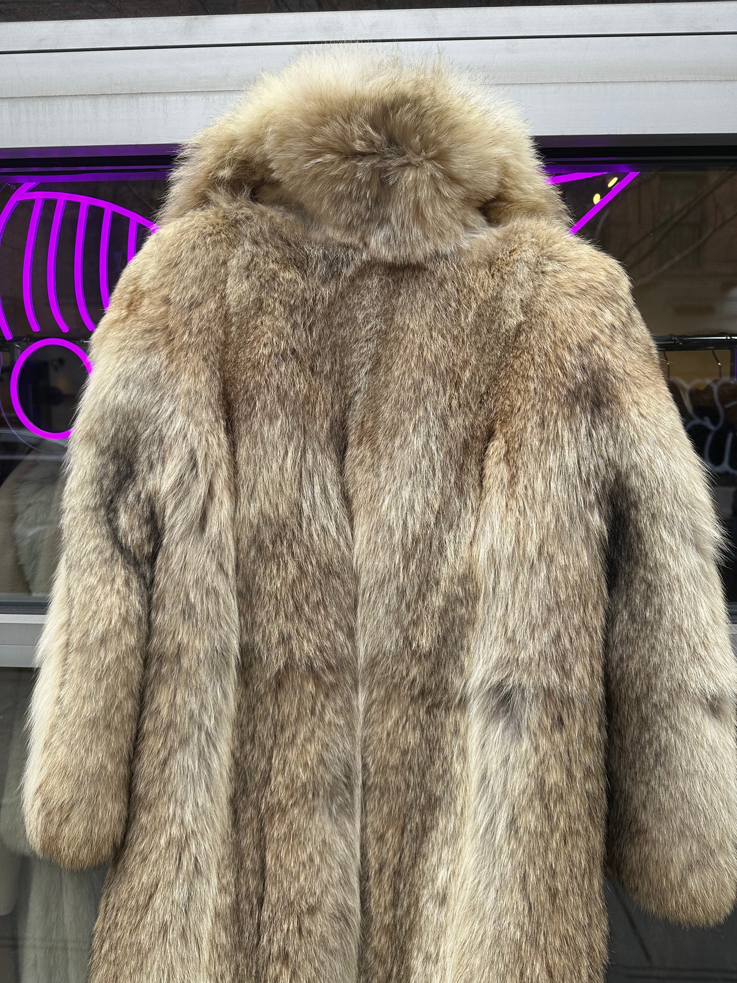 Coyote full length fur full length