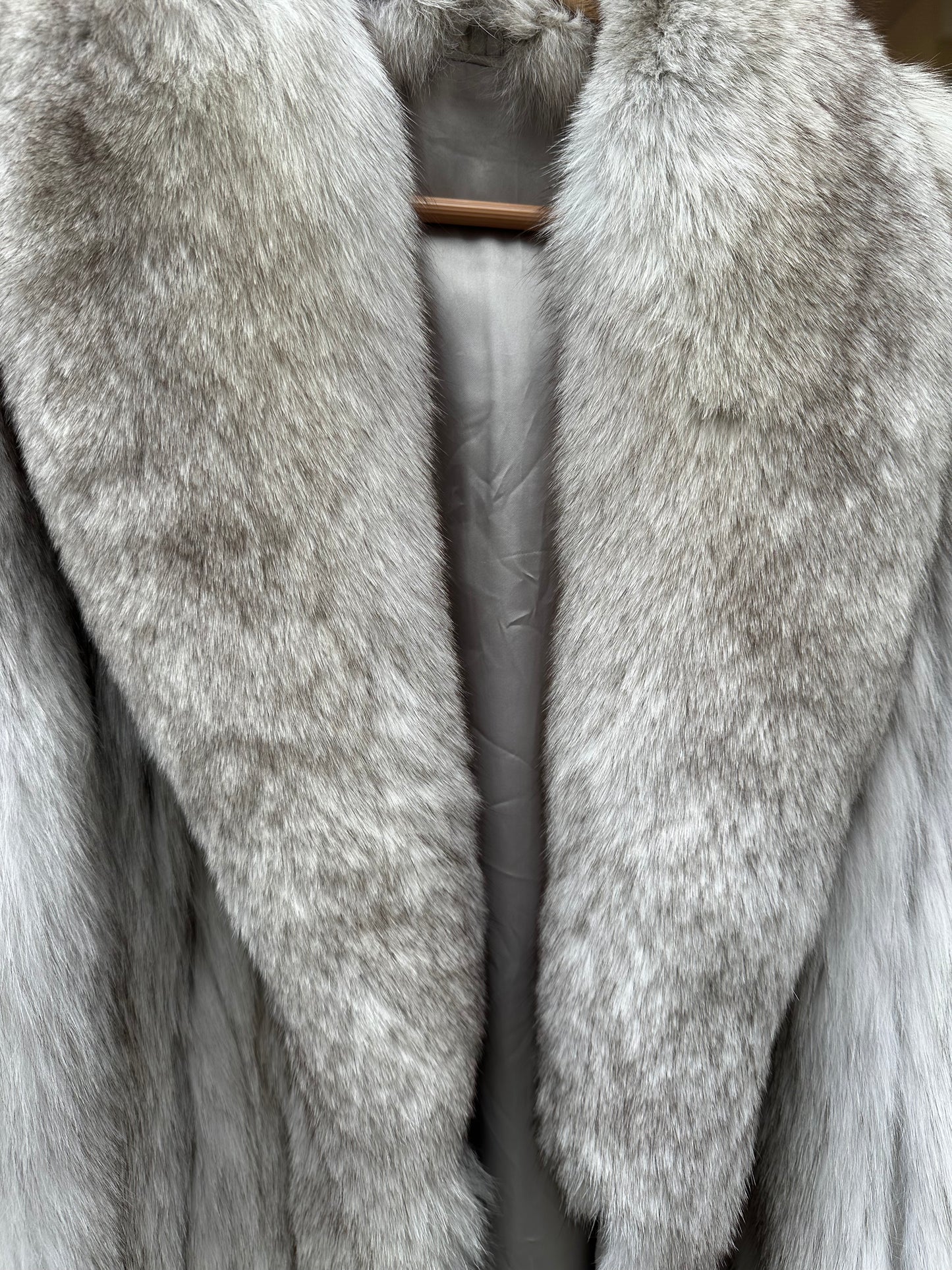 Midlength Arctic Fox
