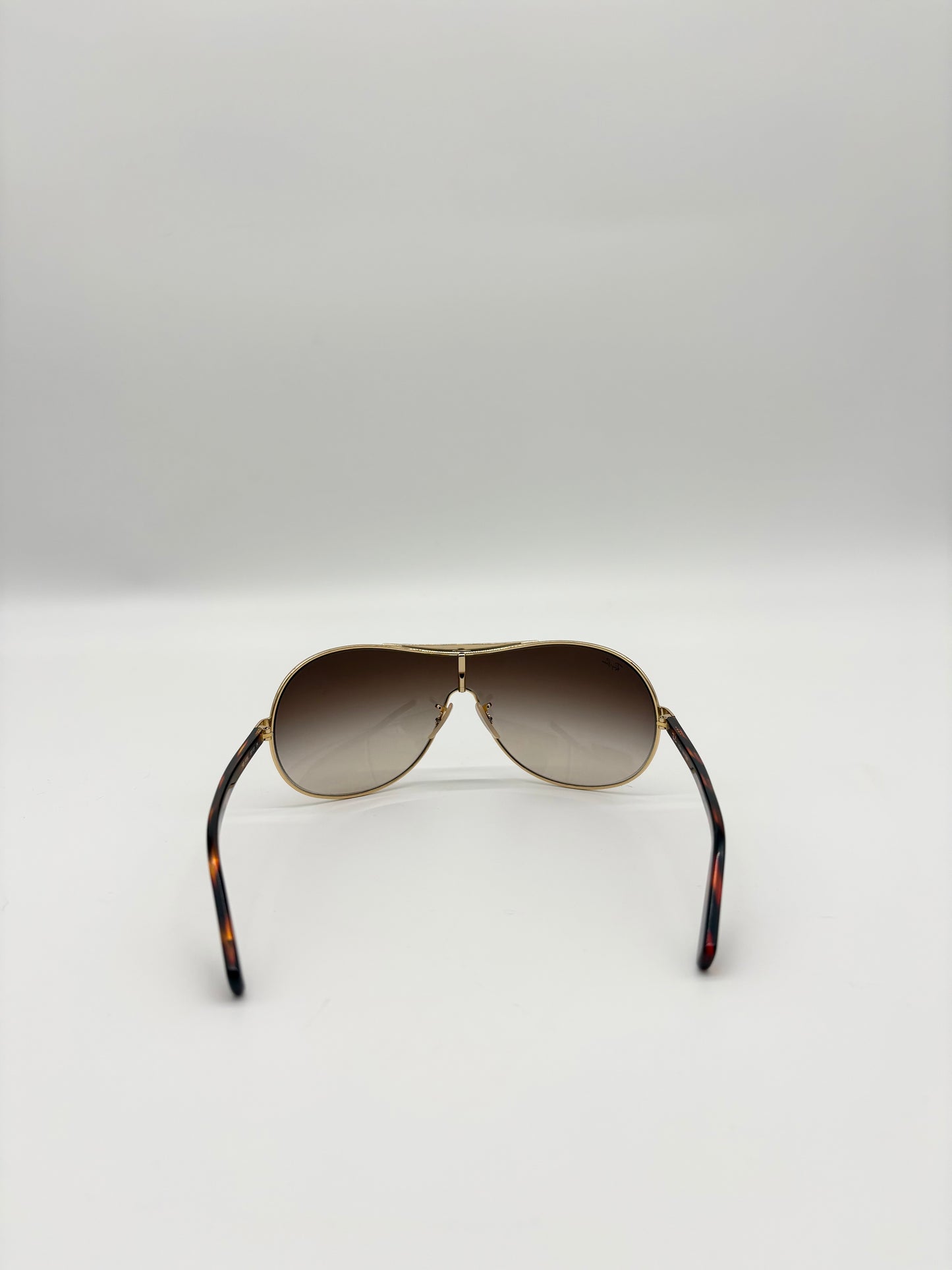 Ray-Ban RB2447