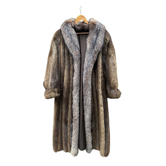 Brown Racoon Fur with Silver Fox Tuxedo Collar Full length